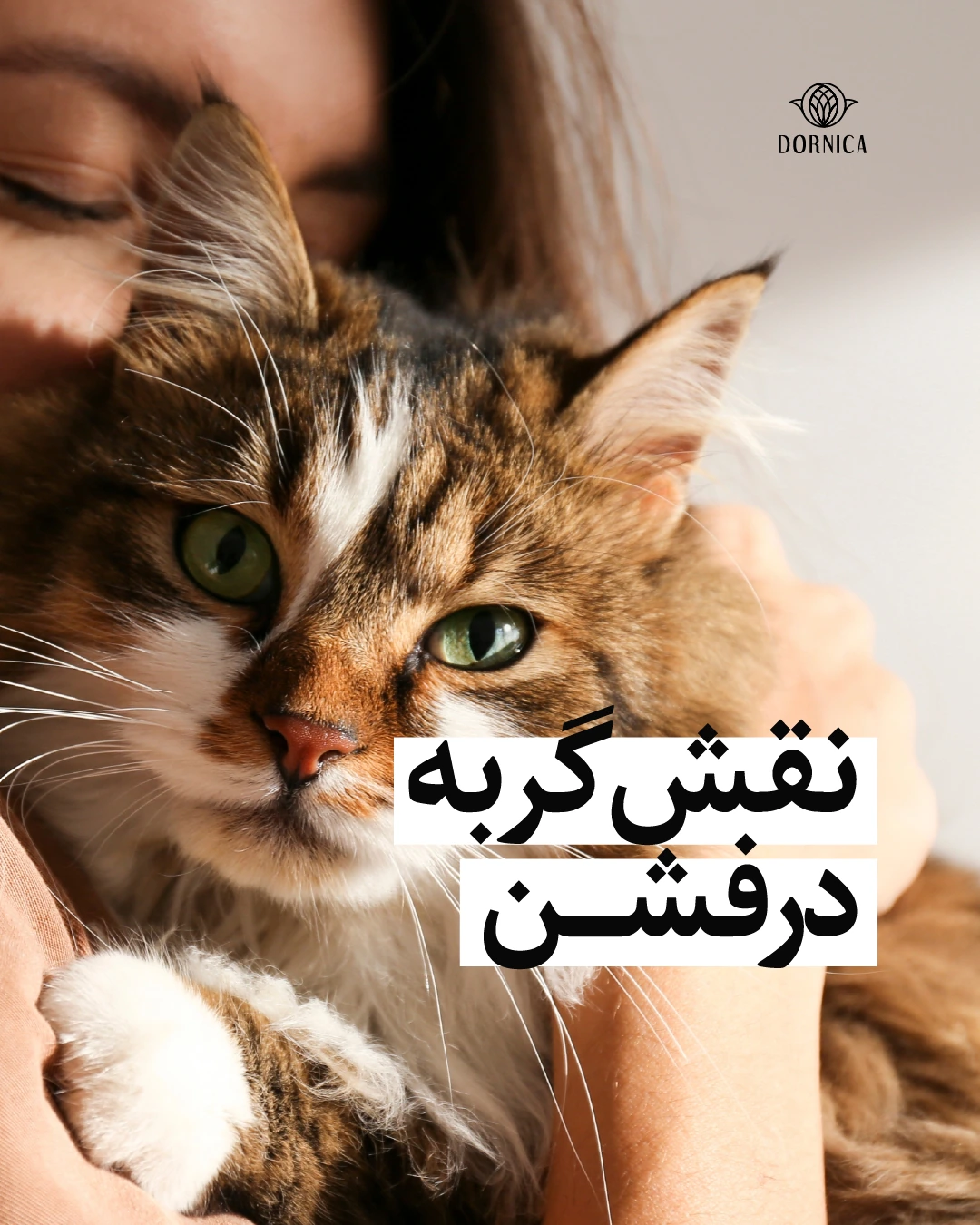 نقش گربه در دنیای فشن؛ از Catwalk تا عینک و کفش گربهای